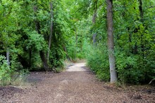 Scenic View Of The Gailey Trail Surrounded By Green Nature In A Park In Fruit Heights, Utah