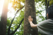 Human Hand Or Young Woman Touching Tree In The Forest  In Concept Of People Love Nature And  Tree To Protect From Deforestation And Pollution Or Climate Change