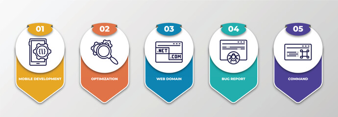 infographic template with thin line icons. infographic for programming concept. included mobile development, optimization, web domain, bug report, command editable vector.
