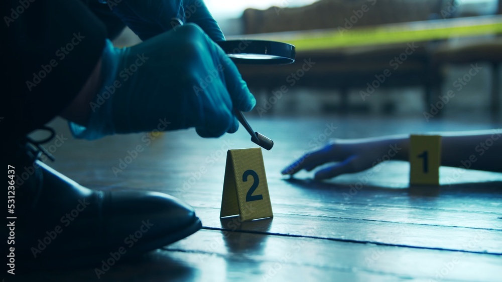 Adam Rhim Crime Detective Collecting Evidence in a Crime Scene. Forensic Specialists ...