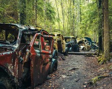 Vehicle Graveyard In The Forested Area