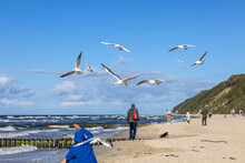 Miedzyzdroje, Poland - September 15, 2022: A Man Wearing A Blue Jacket Is Feeding The Seagulls Flying Above His Head On A Sandy Beach On The Shores Of The Baltic Sea On A Beautiful Autumn Sunny Day