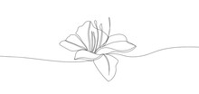Lily Flower In Single Continuous Line Drawing Style For Logo Or Emblem.