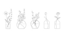 Set Of Flowers  Line Drawing Vector Art In A Vase For Decoration