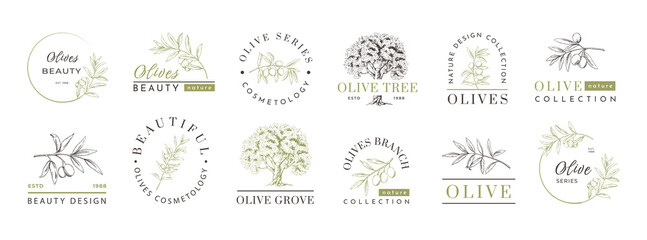 Olive oil logo, premium label elements collection. Green leaves emblem and text, nature packaging, tree product. Hand drawn isolated tree and branches. Healthy food vector design template set