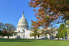 US Capitol Building And Autumn Foliage - Washington DC United States