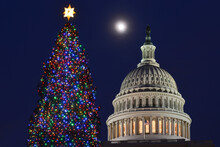 Capitol Building And Christmas Tree At Night - Washington DC United States