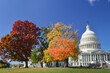 Capitol building in autumn foliage - Washington DC United States