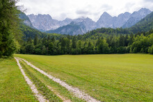 A Beautiful View Of The Julian Alps, A Forest And A Grassy Meadow In Gozd Martuljek, Slovenia. The Beginning Of The Route To The Martuljek Lower Waterfall.