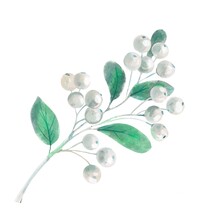 Branch With White Berries.
