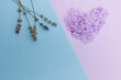 Bath salts in the shape of a heart on a blue - purple background. Lavender flowers. Spa treatments. Place text.