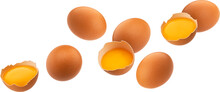 Brown Egg Isolated