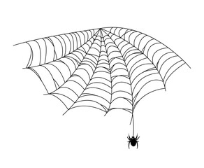 Black spider and web. Scary spiderweb of halloween . Vector illustration