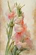 Vintage Watercolor Painting of Gladiola Flowers