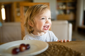 Wall Mural - Cute little toddler boy eating grapes at home. Fresh organic frutis for infants.