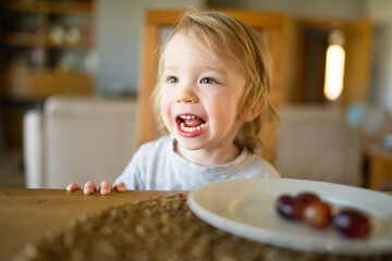 Wall Mural - Cute little toddler boy eating grapes at home. Fresh organic frutis for infants.