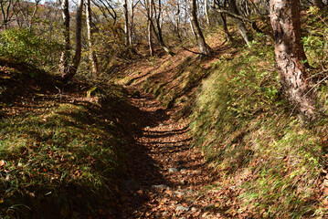 Wall Mural - Climbing mountain in autumn, Nasu, Tochigi, Japan