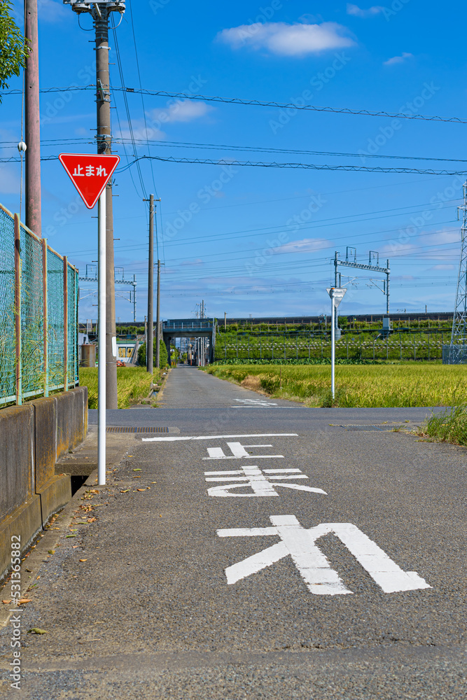 【交通標識】一時停止規制標識 素材庫相片 | Adobe Stock