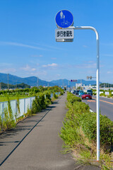 Wall Mural - 自転車及び歩行者専用の規制標識