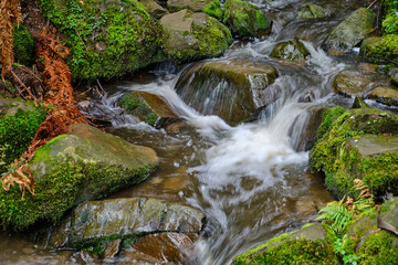 Olinda Creek is a major tributary of the Yarra River in Victoria, Australia. Its origins are in the Dandenong Ranges, and it is notable for passing through the settlement of Lilydale before joining wi