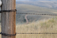 Selective Focus Of Two Strands Of Barbed Wire Fence Coming Off A Wooden Post In A Ranch Field With Bokeh