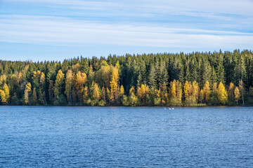  Mixed forest at a lake with autumn colors