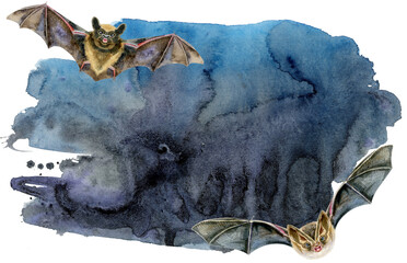 Coloured black watercolor background with bat in flight for decoration with splashes