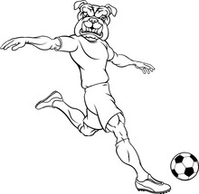 A Bulldog Soccer Football Player Cartoon Animal Sports Mascot Kicking The Ball