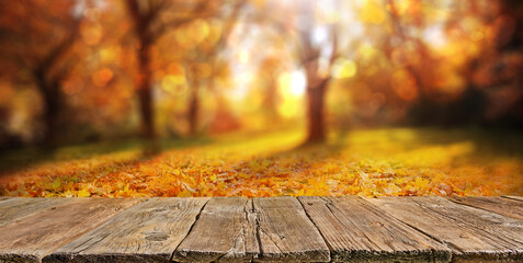 Wall Mural - Wooden table with orange leaves autumn background