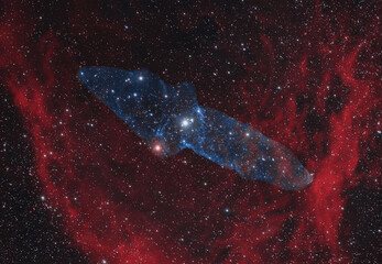 Wall Mural - the squid nebula (ou4) contained within the flying bat nebula (sh2-129)