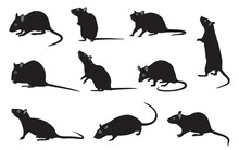 Mouse Animal Icon Vector Design Template.Rat Silhouette Logo. Black Mouse Symbol Vector.
