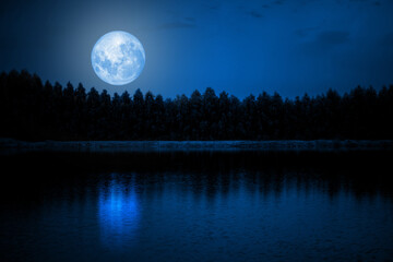 the blue sky at the full moon over the shadows of the trees by the river. calm nature background nas