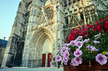 Blooming Surfinia Flowers In Front Of The Historic Cathedral Of Troyes