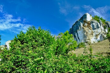 Wall Mural - LES ROCHERS DE SAUSSOIS MERRY SU YONNE