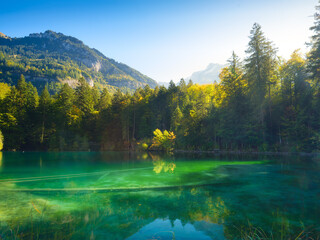 Wall Mural - the lake, mountains and forest. the sun beams through the trees. reflections on the surface of the w