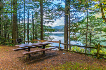 Wall Mural - great campsites with picnic tables and fire pits. fall colors in silver lake campground, fall time, 