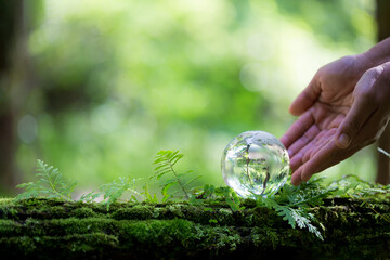 Human hand holding globe planet glass In green forest with bokeh nature lights. world environment day. concept for environment conservation, protect ecology earth and environmental eco-friendly life.