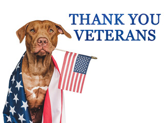 Thank You Veterans. Lovable, pretty brown puppy and American Flag. Closeup, indoors. Studio shot. Congratulations for family, relatives, loved ones, friends and colleagues. Pet care concept