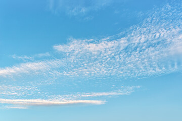 Wall Mural - light translucent cirrocumulus clouds high in the blue sky. high clouds of rarefied altitudes. weath