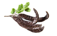 Carob. Healthy Organic Sweet Carob Pods With Seeds And Leaves Isolated On White. Healthy Eating, Food Background. Organic Vegan Food