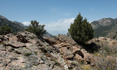 Sticker - Beautiful view of rocky land with trees with hills and cloudy sky in the background under sunlight