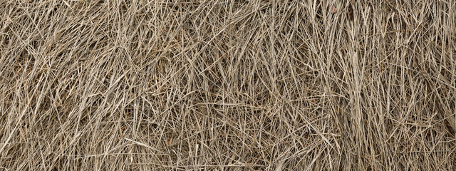 Texture of straw. Banner. Web. Copy space 