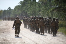 US Marines Training.