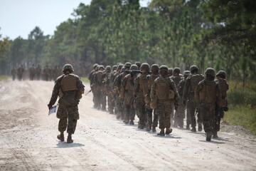 Wall Mural - US Marines Training.