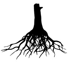 Editable Black Roots Of A Tree Over The White Background
