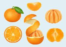 Sliced Mandarin. Orange Pieces Healthy Product Peeled Mandarin Decent Vector Realistic Templates