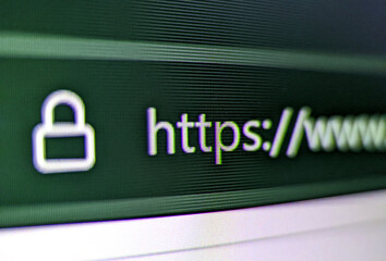Wall Mural - closeup pixelated view of an internet browser with security lock and https://www text