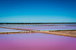 Pink salt marsh near Aigue Morte in Camargue