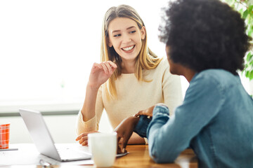 Wall Mural - laptop woman girl computer friend happy technology young work business office startup friendship female student