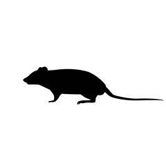 Wall Mural - Black rat silhouette. PNG illustration.